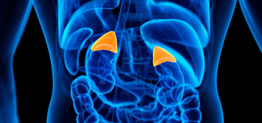 Best Endocrinologist & Diabetes Specialist in Pimpri-Chinchwad, Pune