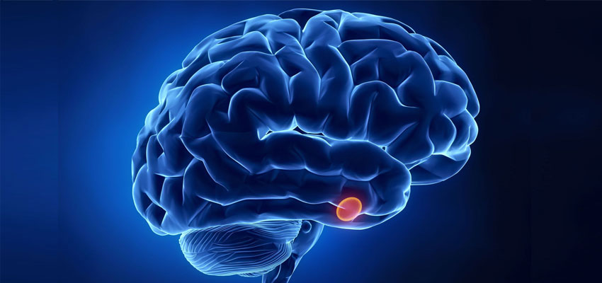 Best Endocrinologist & Diabetes Specialist in Pimpri-Chinchwad, Pune